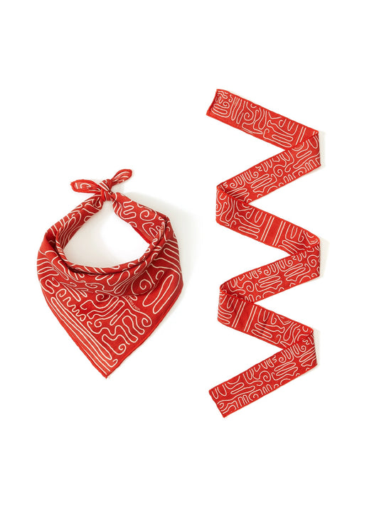 Kırmızı Abstract Print Pet Bandana & İnce Fular Set - MONS BONS