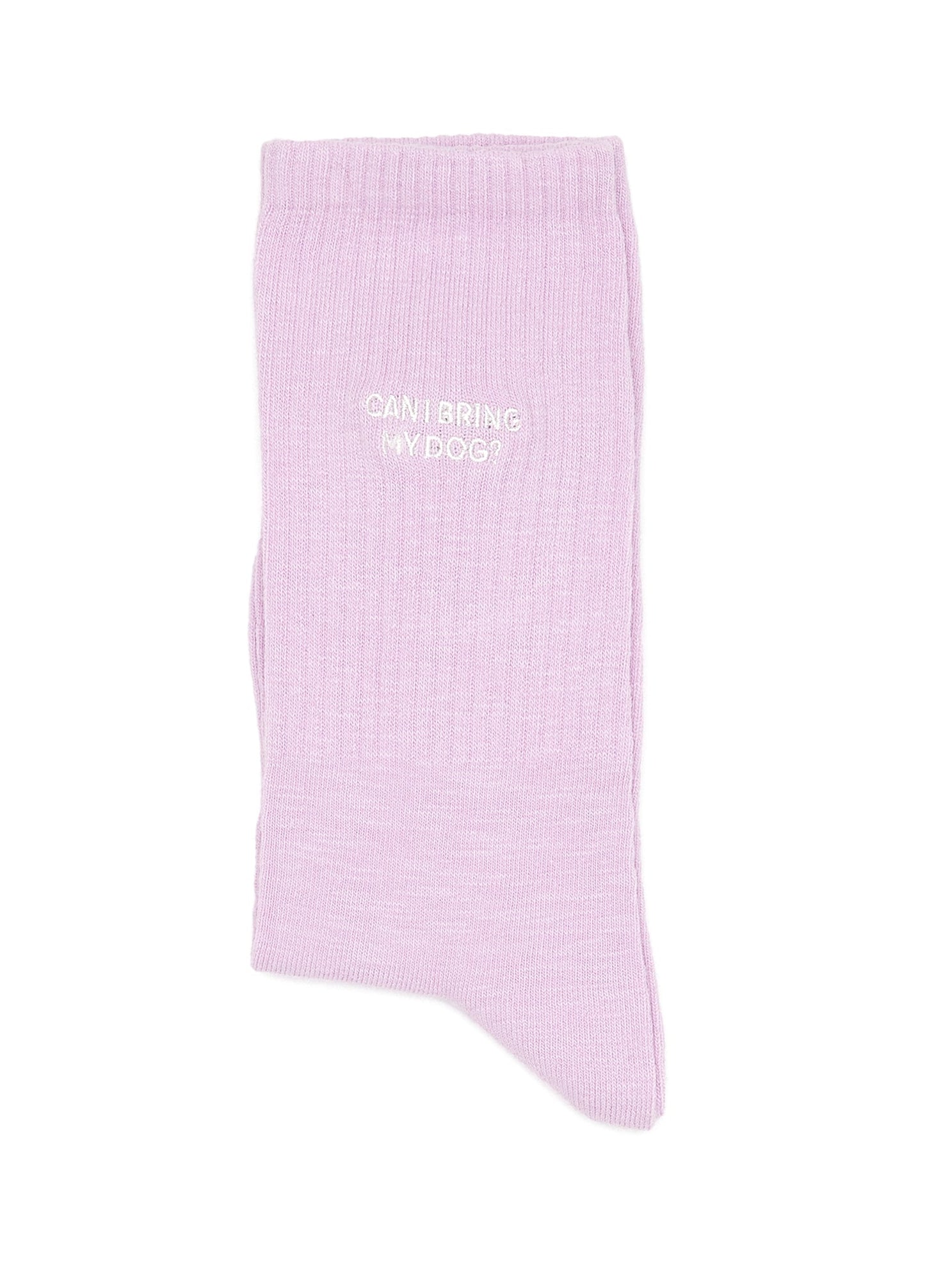 Can I Bring My Dog? Socks - MONS BONS