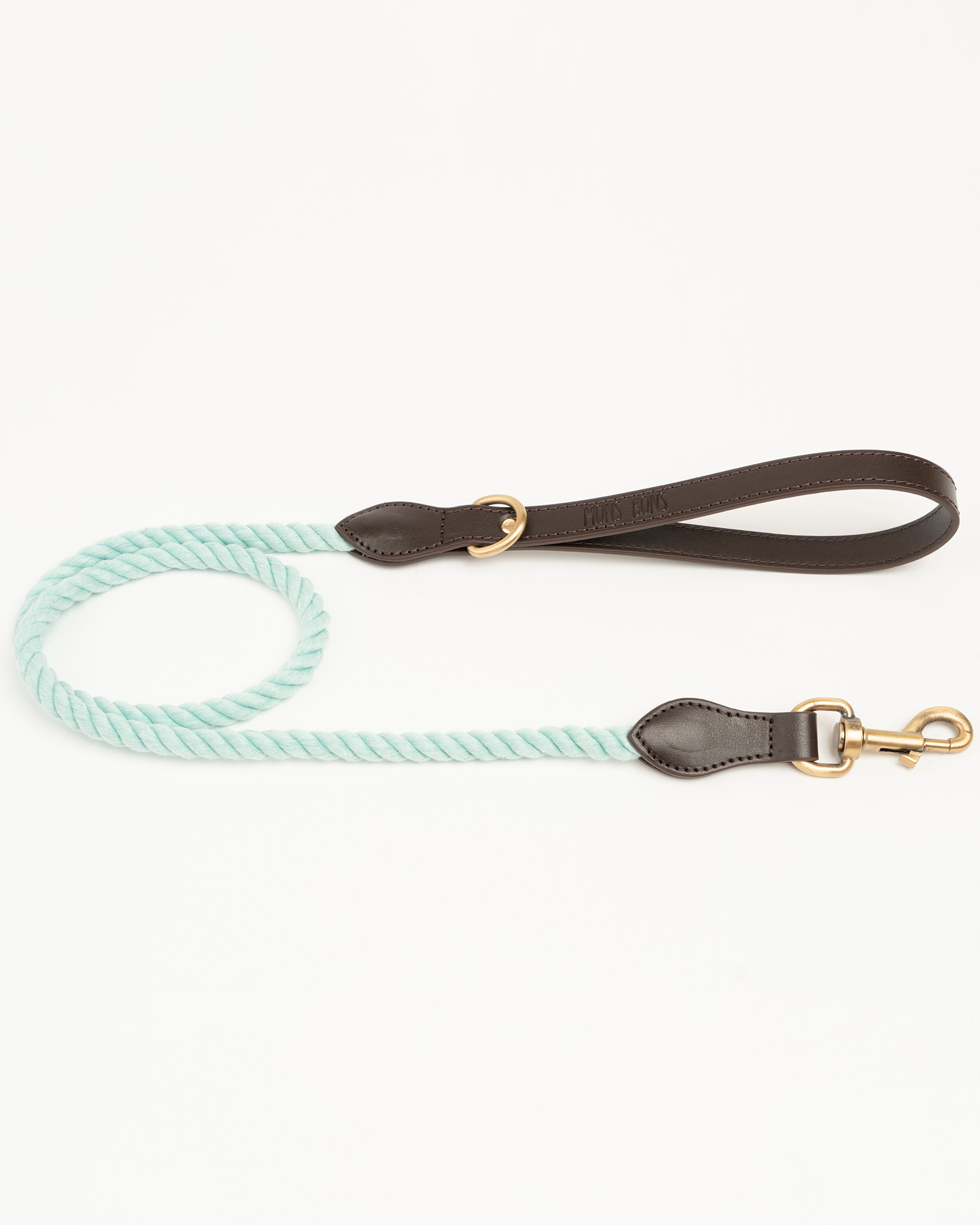 Classy-Yoko Leash Mint - MONS BONS