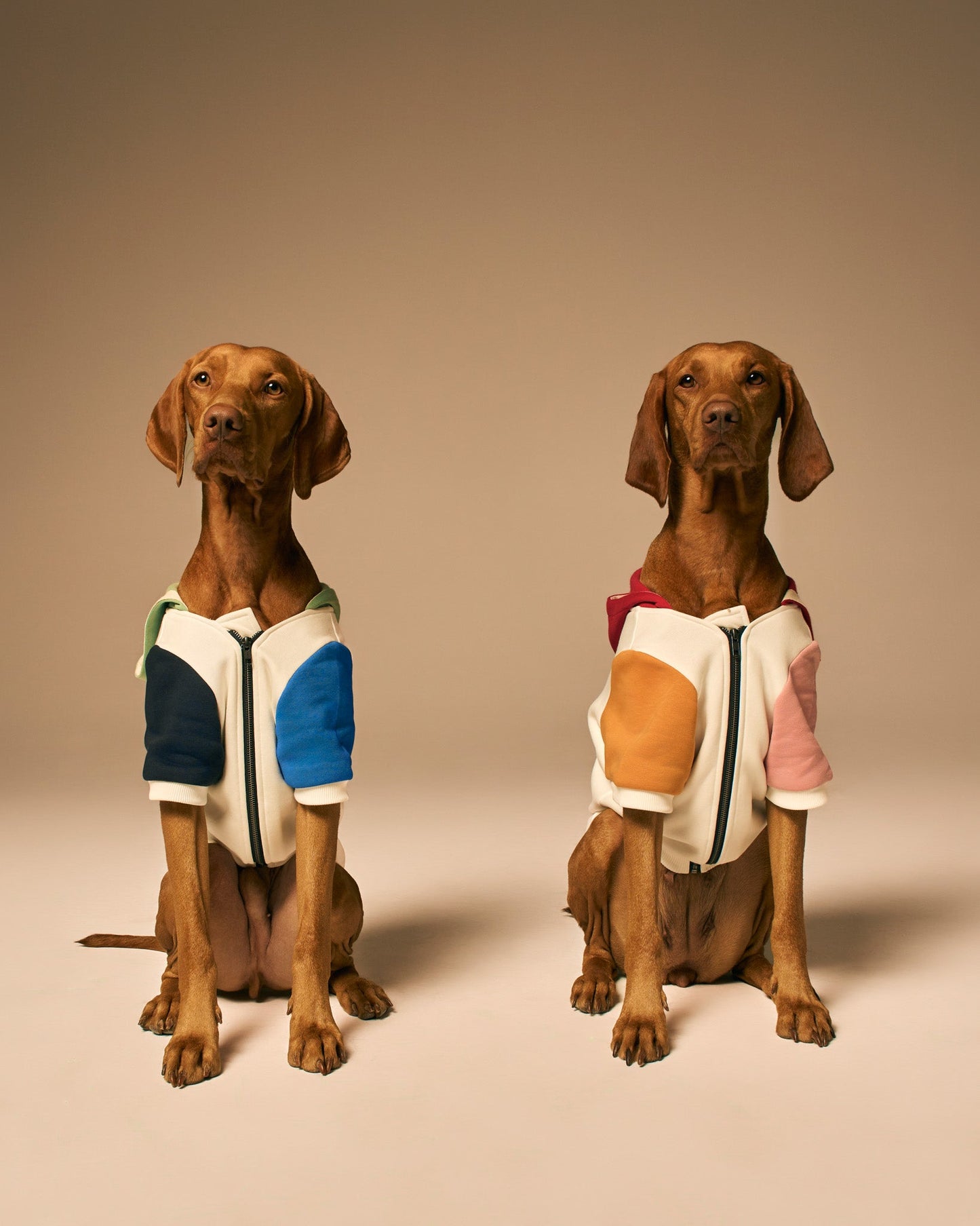 Mons Bons x Bassigue Pastel Colored Pet Hoodie - MONS BONS
