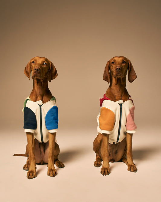 Mons Bons x Bassigue Pastel Colored Pet Hoodie - MONS BONS
