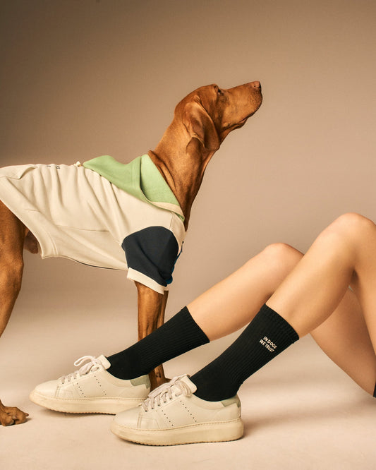 In Dogs We Trust Socks - MONS BONS