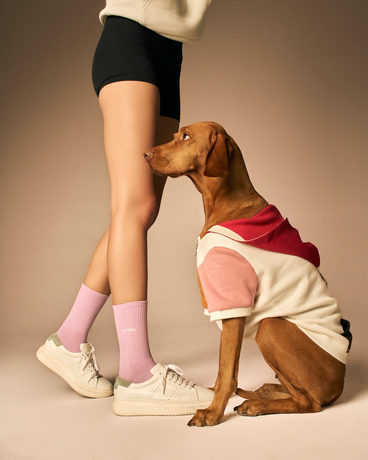 Anything Is Paw-sible Socks - MONS BONS