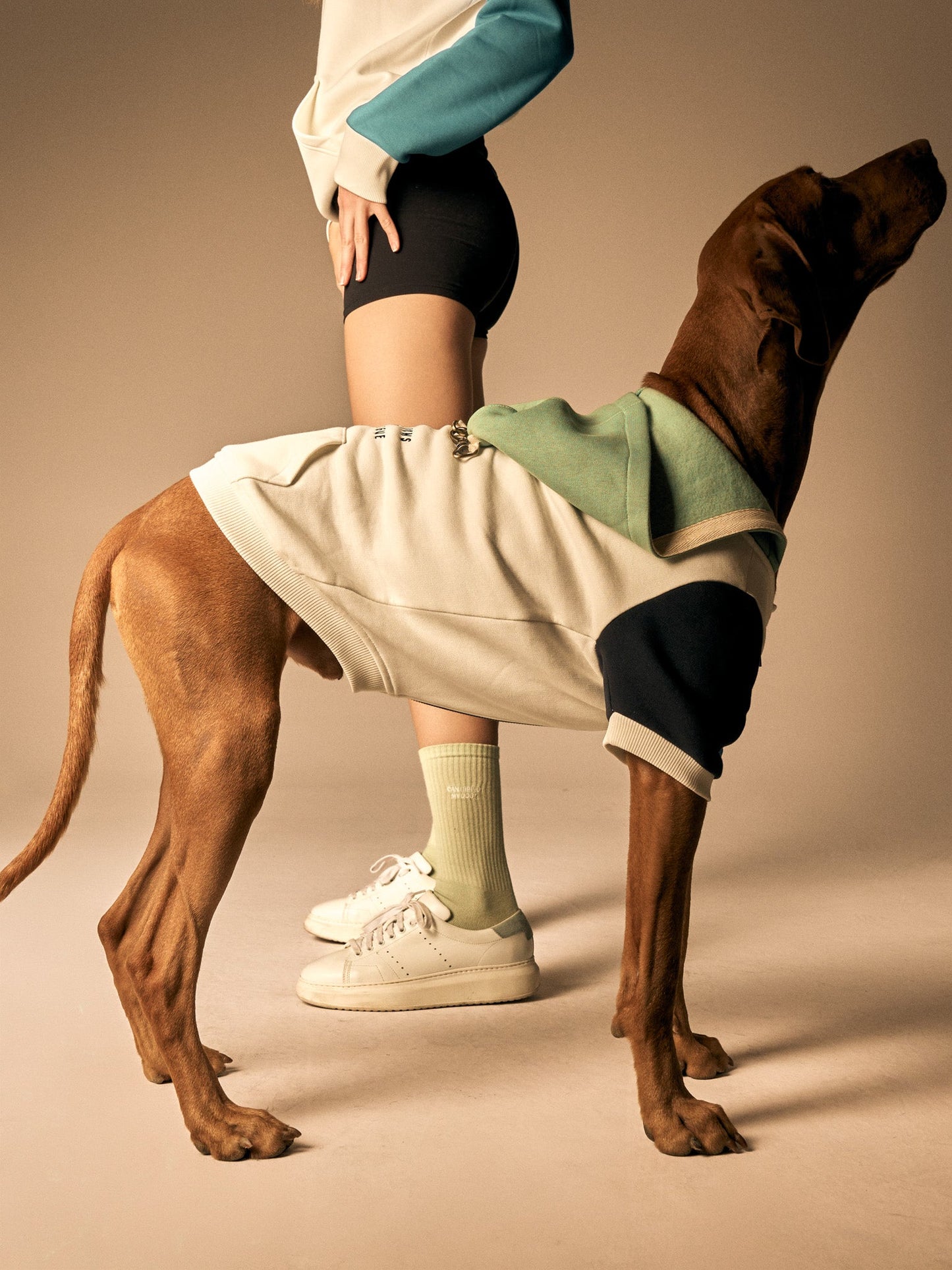 Can I Bring My Dog? Socks - MONS BONS