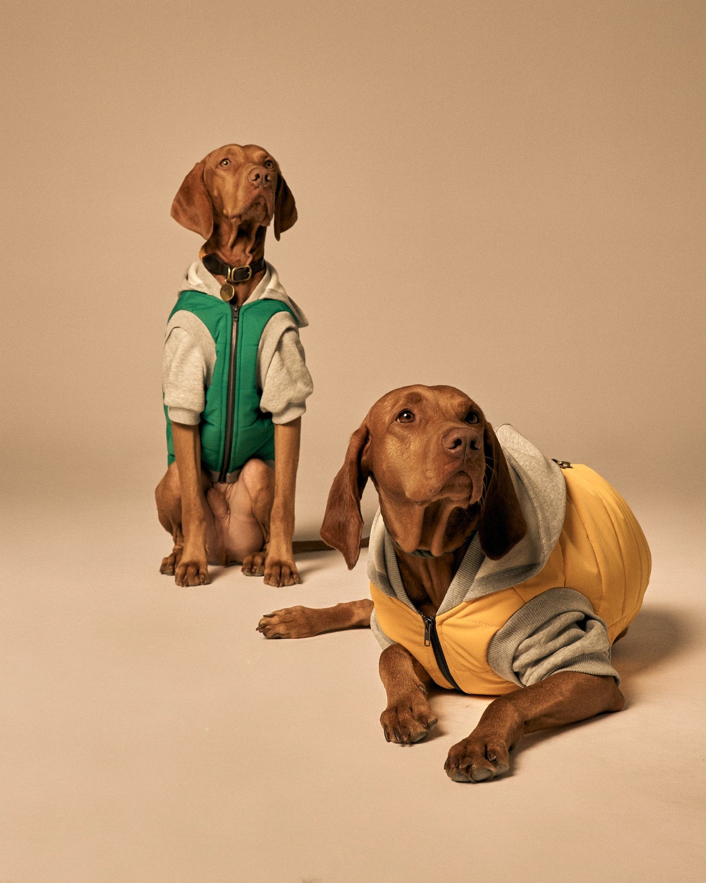 Mons Bons x Bassigue Yellow Puffer Jacket - MONS BONS