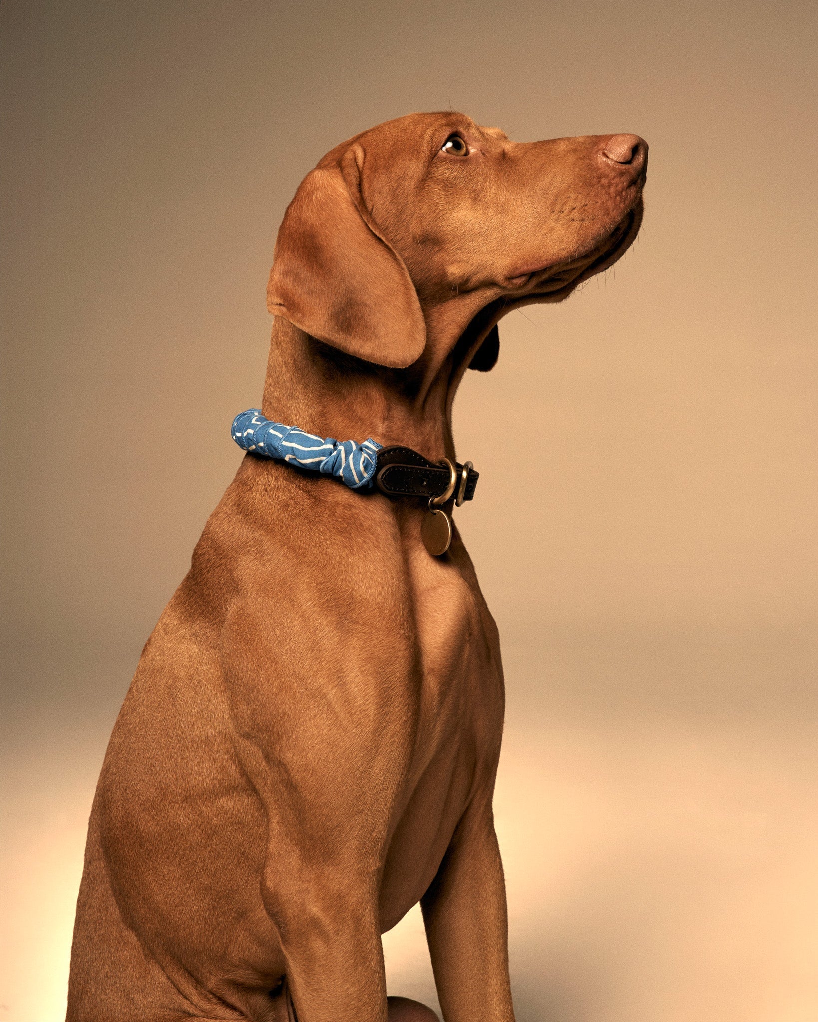 Mons Bons x Bassigue Accessorized Collar - MONS BONS