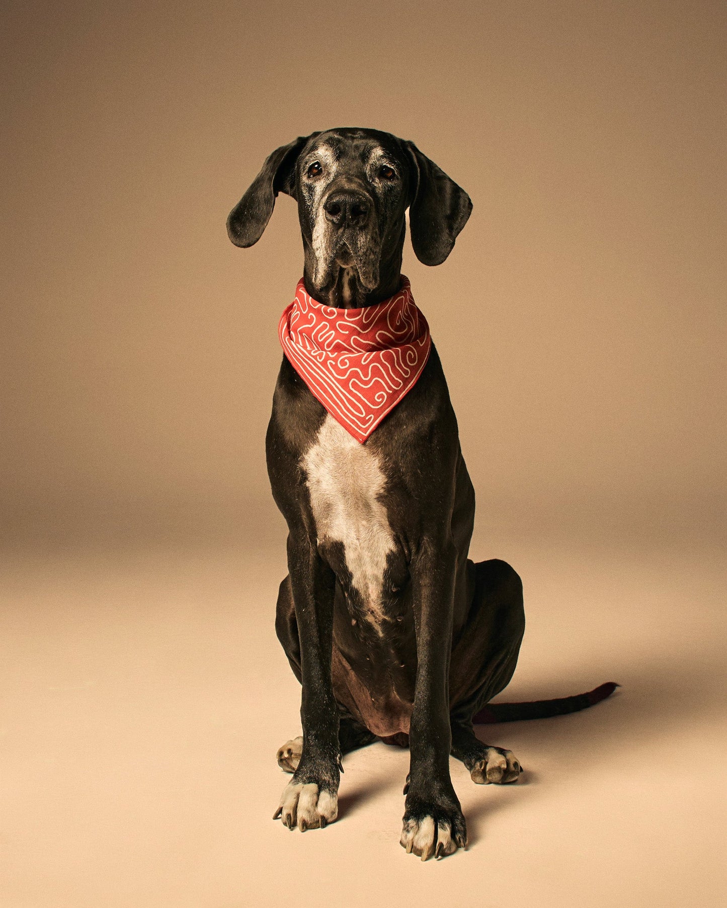 Mons Bons x Bassigue Abstract Print Pet Bandana - MONS BONS