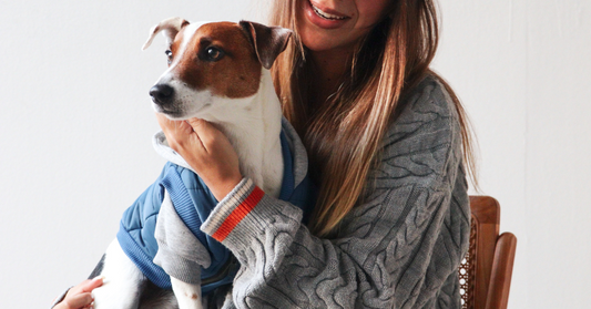 Everything You Need To Know Before Adopting A Dog