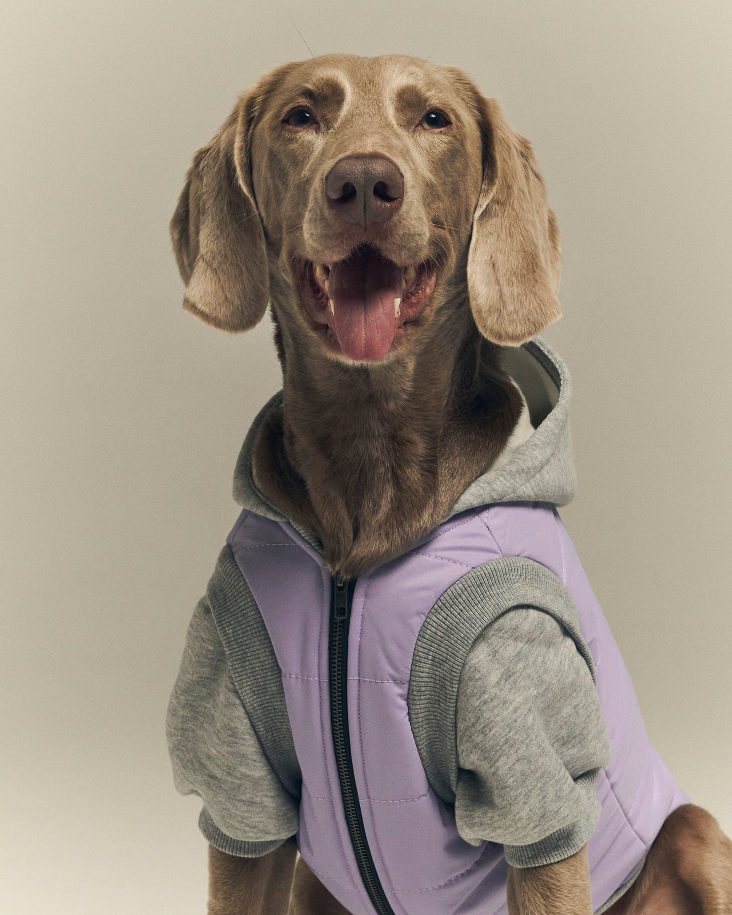 Mona's Puffer Jacket - Lilac