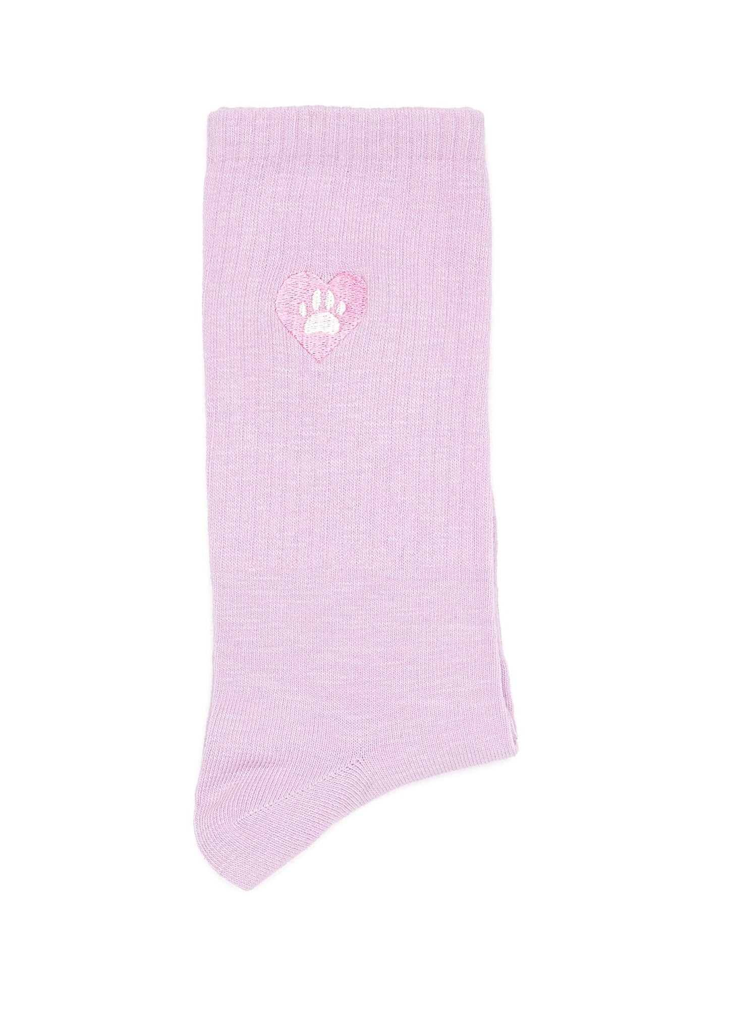 Can I Bring My Dog? Socks