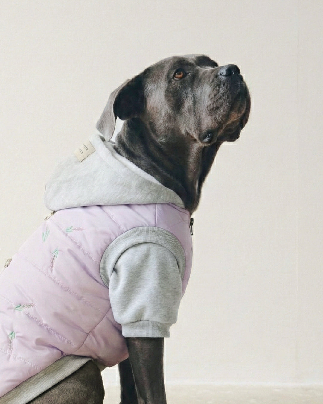 Lavanda Puffer Pet Jacket