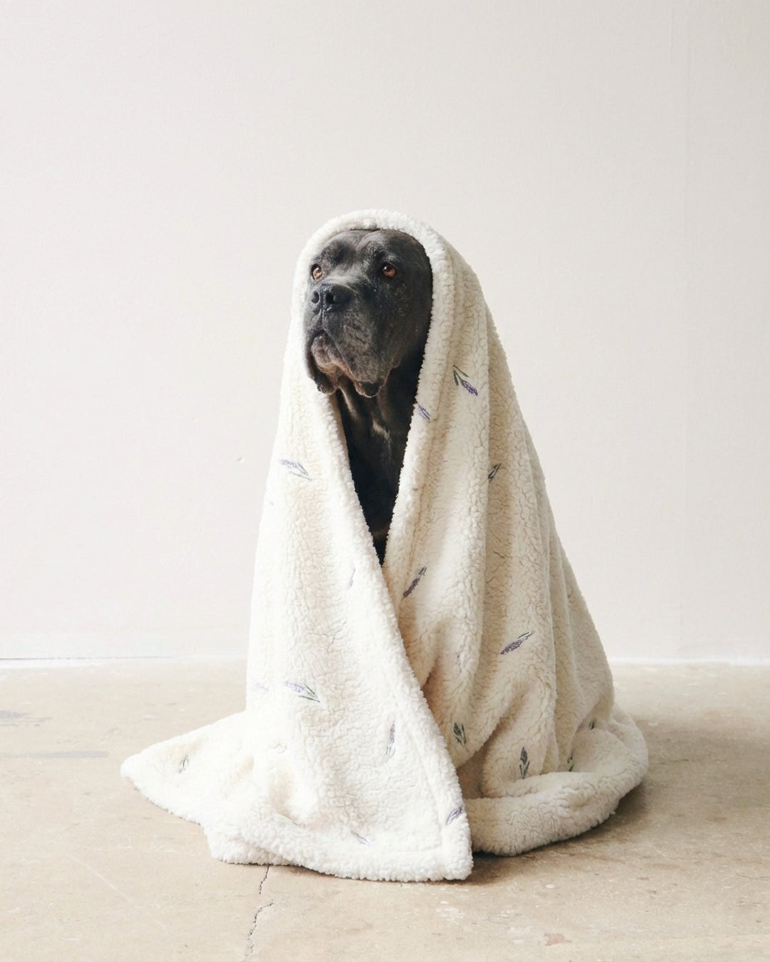 Lavanda Stress-Free Blanket