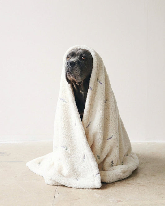 Lavanda Stress-Free Blanket