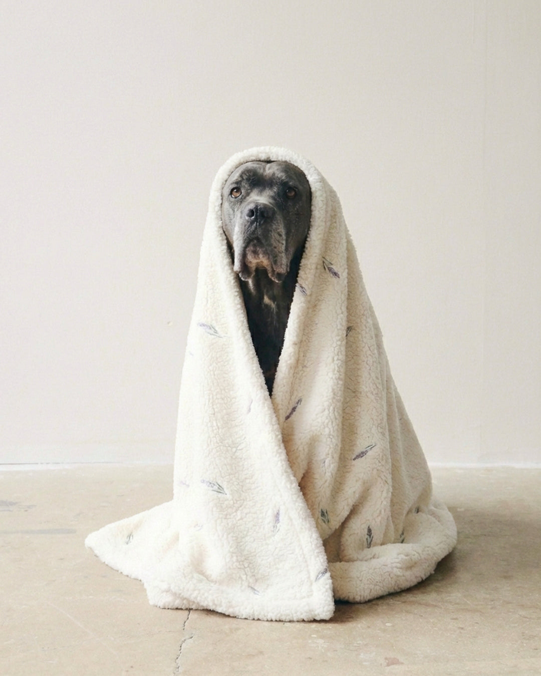 Lavanda Stress-Free Blanket