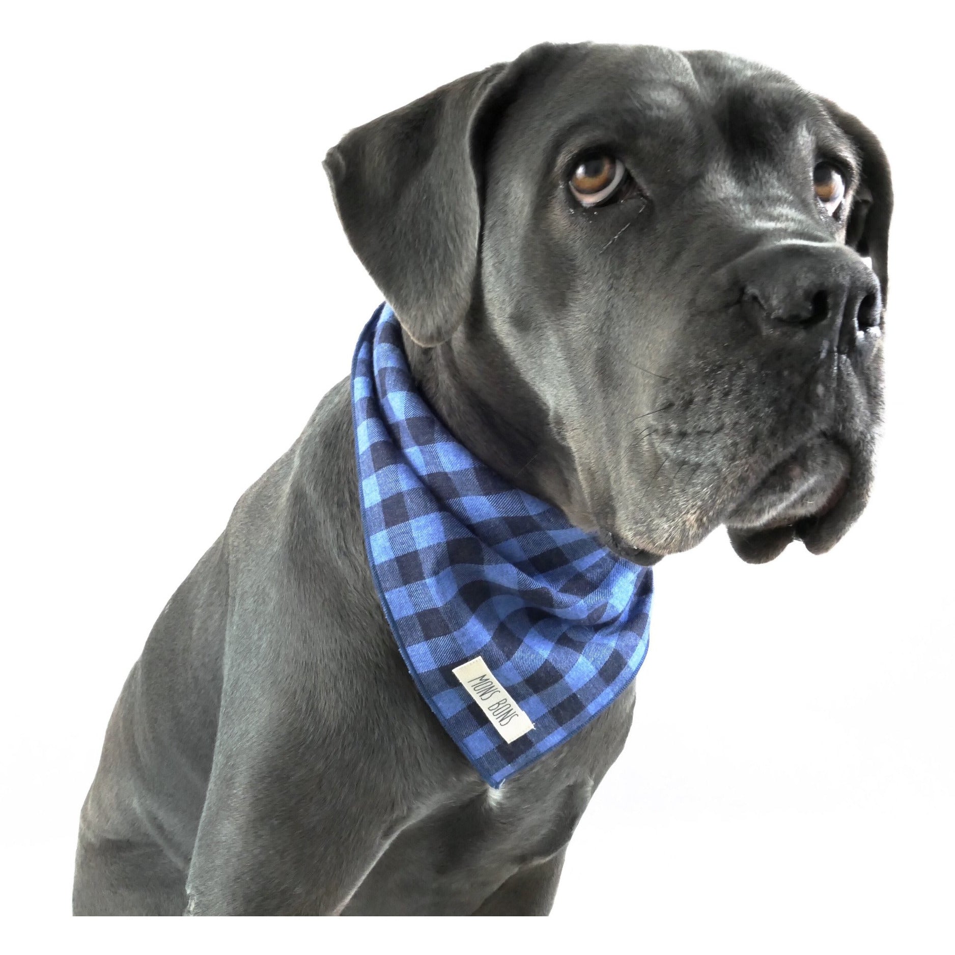 Evening Bandana - MONS BONS