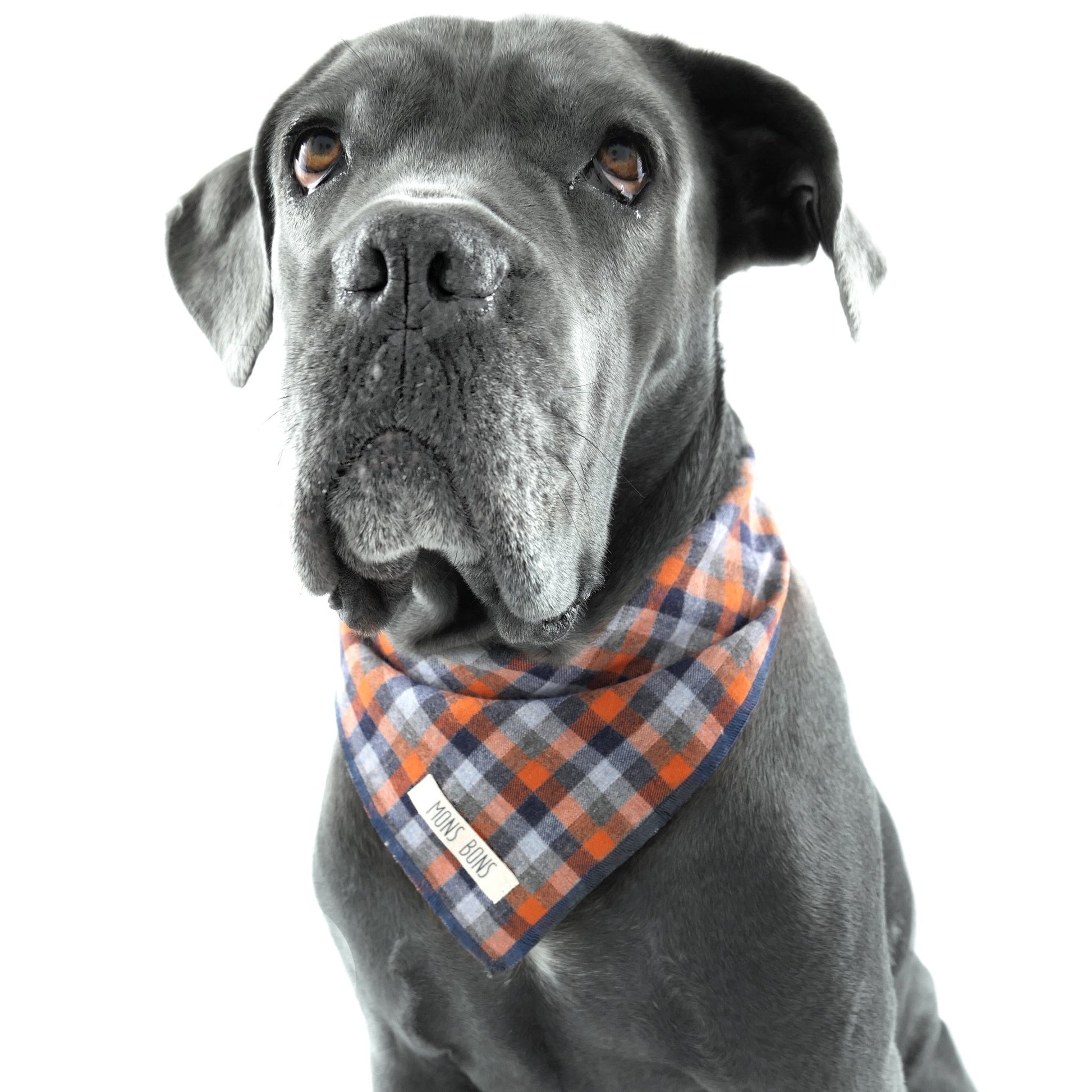 Clementine Bandana - MONS BONS
