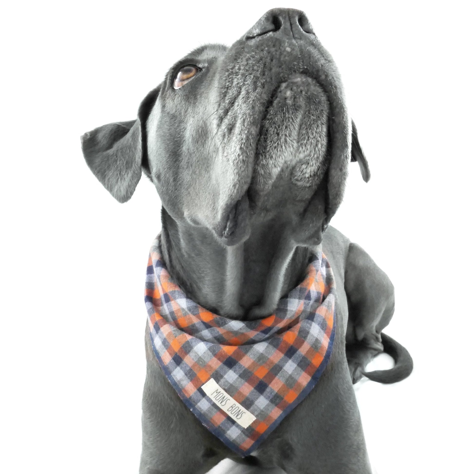 Clementine Bandana - MONS BONS